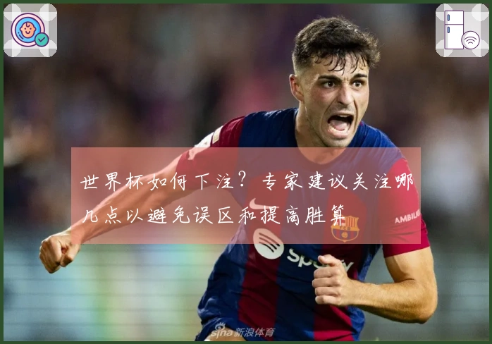 世界杯如何下注？专家建议关注哪几点以避免误区和提高胜算