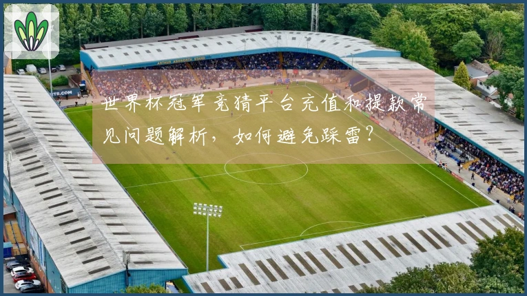 世界杯冠军竞猜平台充值和提款常见问题解析，如何避免踩雷？