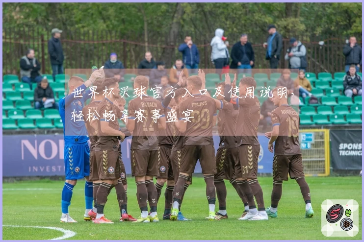 世界杯买球官方入口及使用说明，轻松畅享赛事盛宴