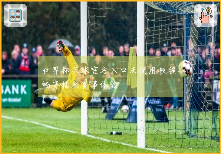 世界杯买球官方入口及使用教程，畅享精彩赛事体验