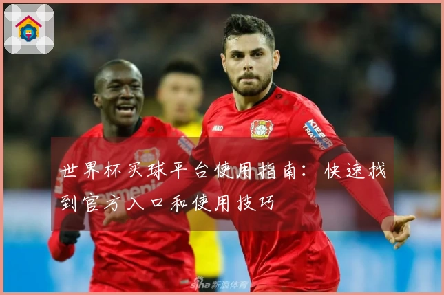 世界杯买球平台使用指南：快速找到官方入口和使用技巧