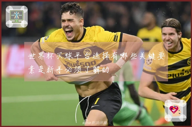 世界杯买球平台选择有哪些关键要素是新手必须了解的