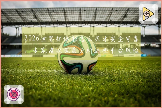 2026世界杯体彩怎么买才安全可靠，专家建议深度分析这些平台风险