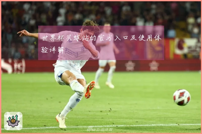 世界杯买球站的官方入口及使用体验详解