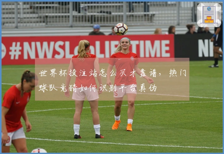 世界杯投注站怎么买才靠谱，热门球队竞猜如何识别平台真伪