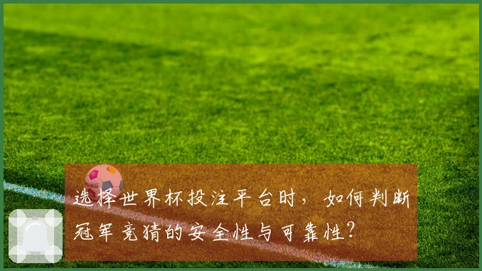 选择世界杯投注平台时，如何判断冠军竞猜的安全性与可靠性？
