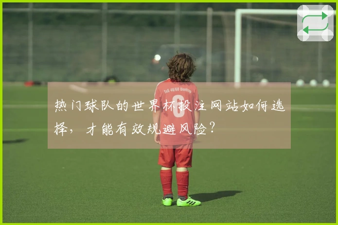 热门球队的世界杯投注网站如何选择，才能有效规避风险？