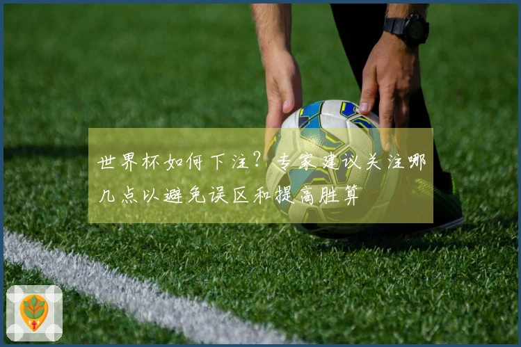 世界杯如何下注？专家建议关注哪几点以避免误区和提高胜算