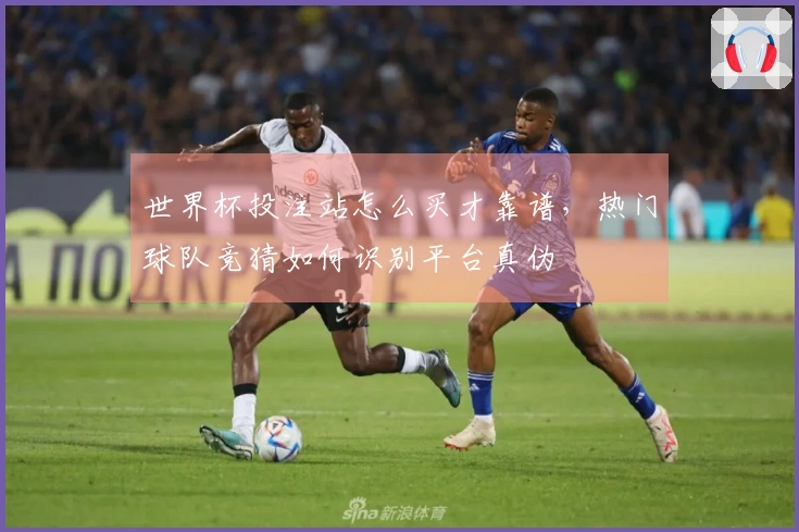世界杯投注站怎么买才靠谱，热门球队竞猜如何识别平台真伪