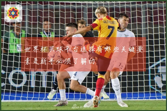 世界杯买球平台选择有哪些关键要素是新手必须了解的