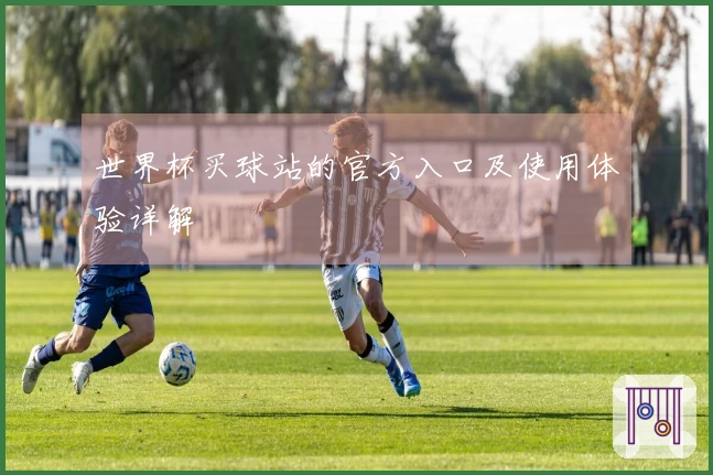 世界杯买球站的官方入口及使用体验详解
