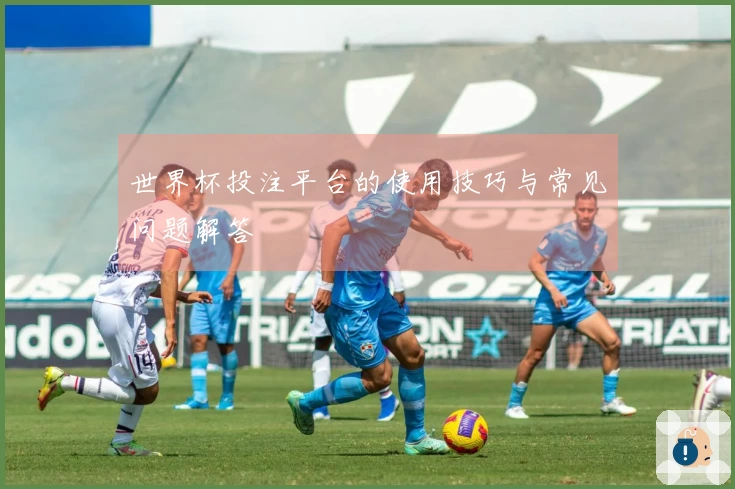 世界杯投注平台的使用技巧与常见问题解答
