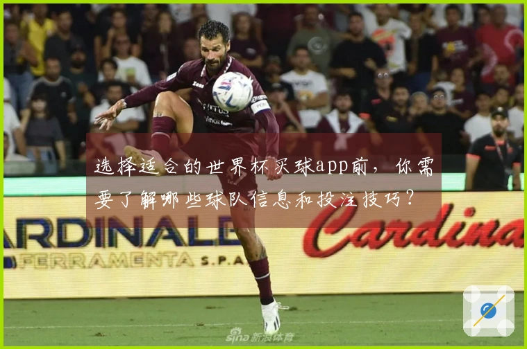 选择适合的世界杯买球app前，你需要了解哪些球队信息和投注技巧？