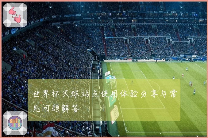 世界杯买球站点使用体验分享与常见问题解答