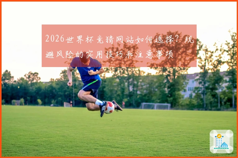 2026世界杯竞猜网站如何选择？规避风险的实用技巧和注意事项