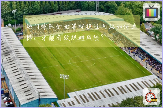 热门球队的世界杯投注网站如何选择，才能有效规避风险？
