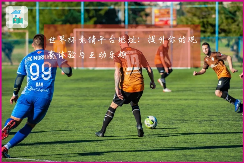 世界杯竞猜平台地址：提升你的观赛体验与互动乐趣
